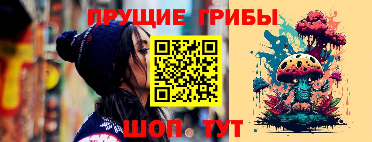 Псилоцибиновые грибы GOLDEN TEACHER  Вход с VPN  Псилоцибиновые грибы мухоморы  Гусев 