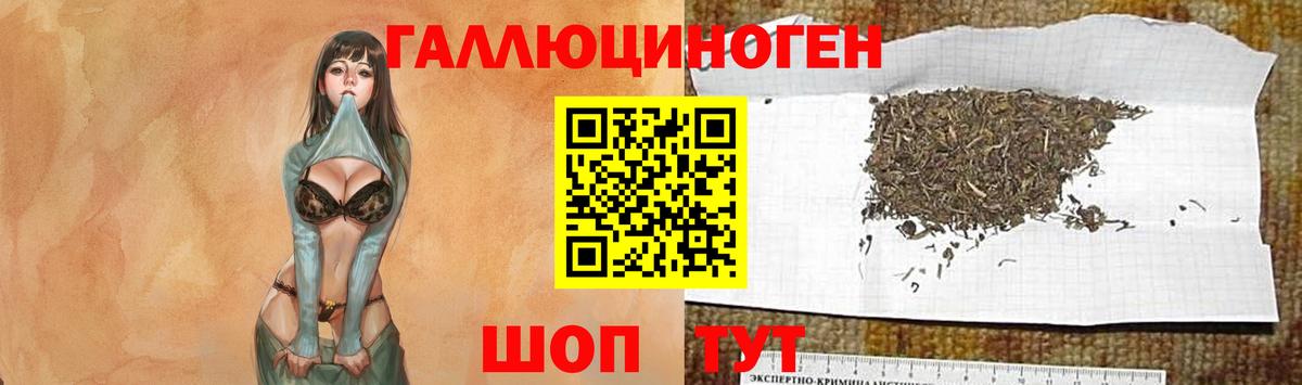 Галлюциногенные грибы прущие грибы Гусев